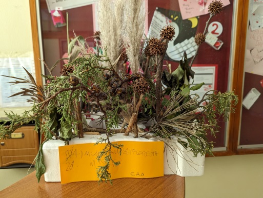 dia mundial da floresta