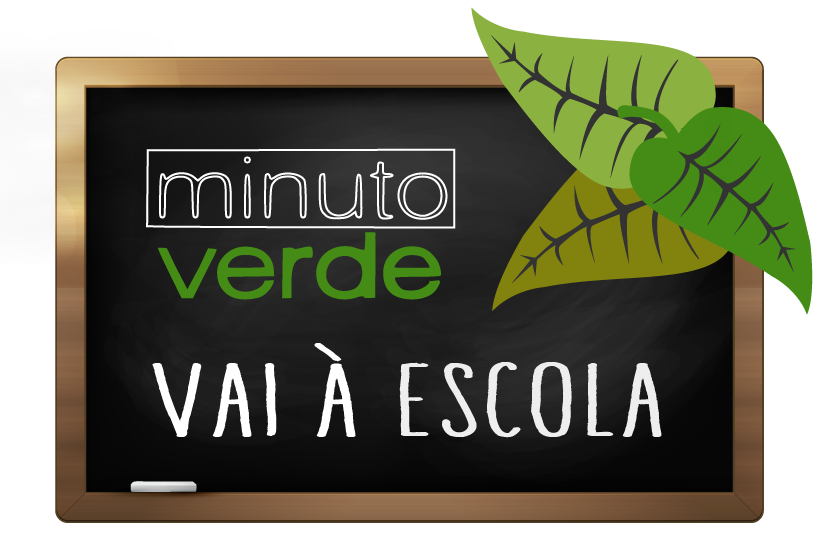 MV escola logo