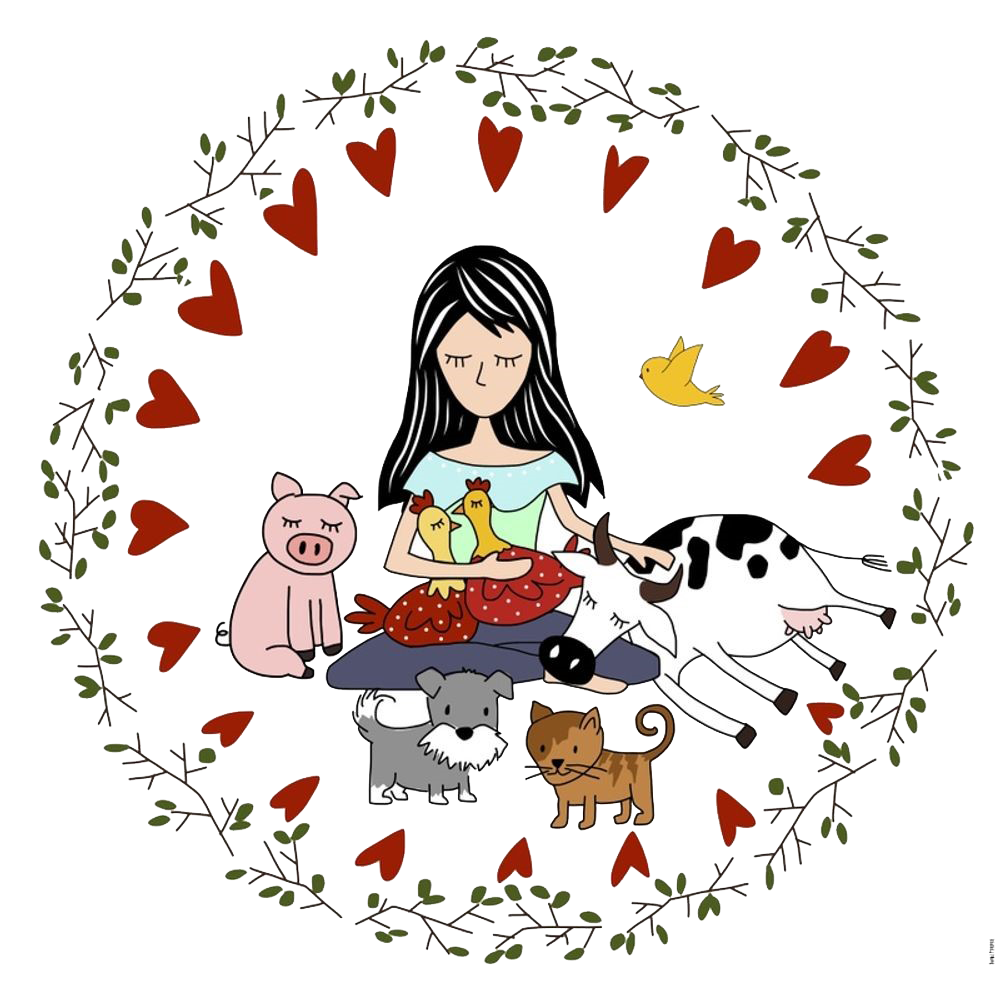 DAC 1º Ano da EB1 Olivais