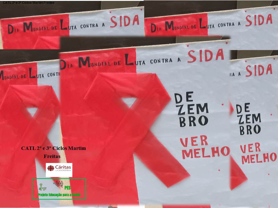 1º Sida