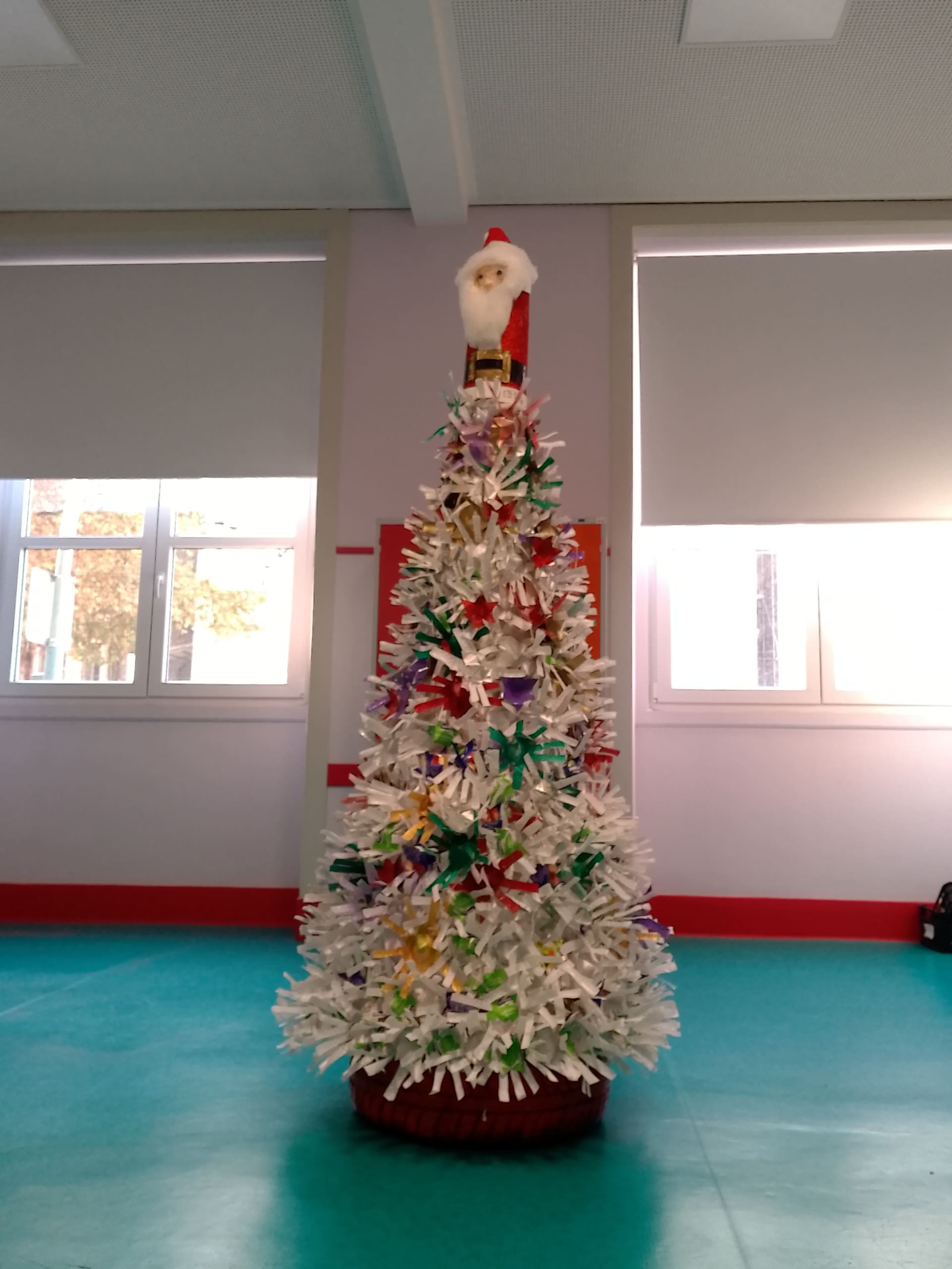 IMG 20231204 090954 1