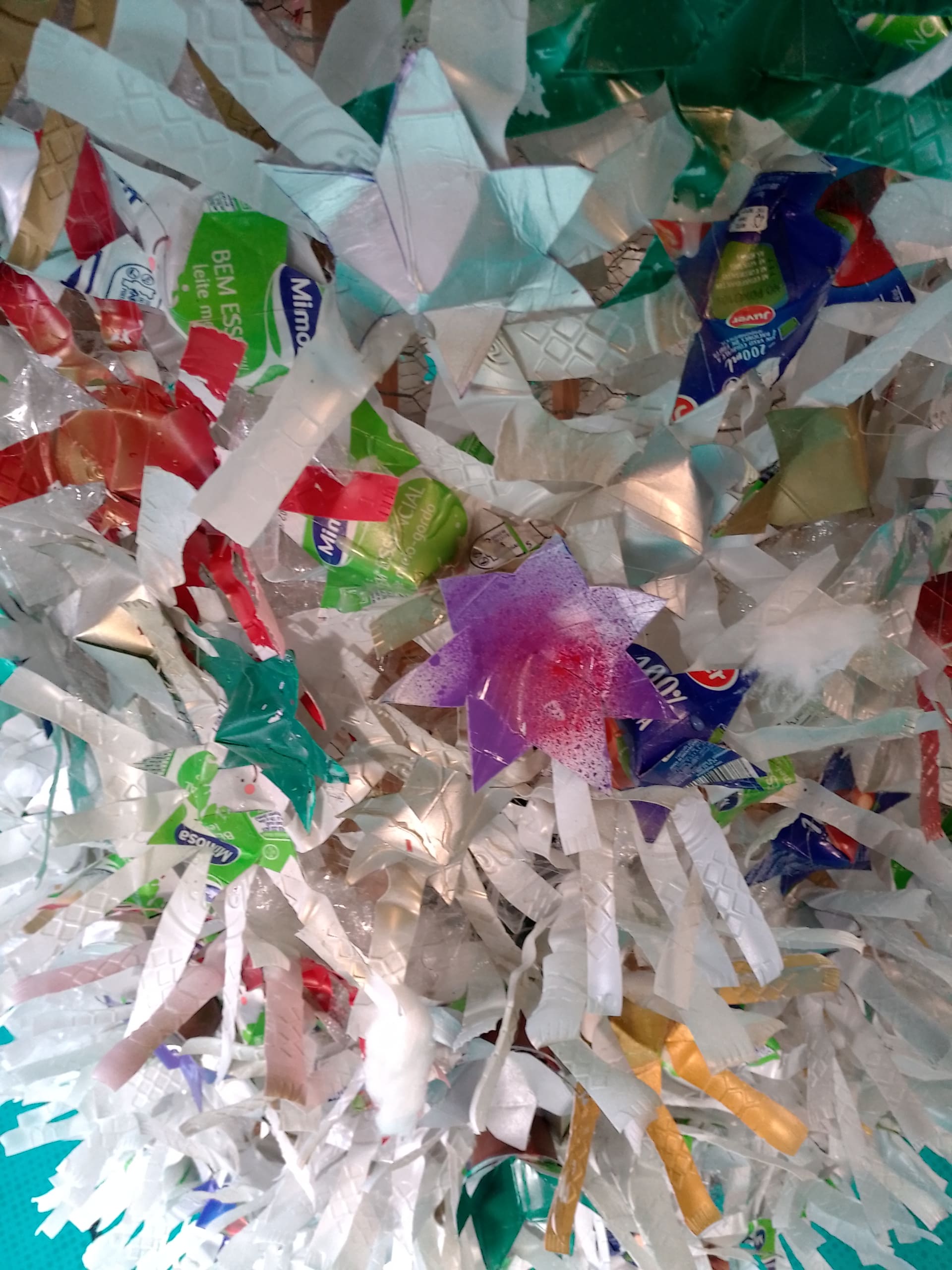 IMG 20231204 111839 1