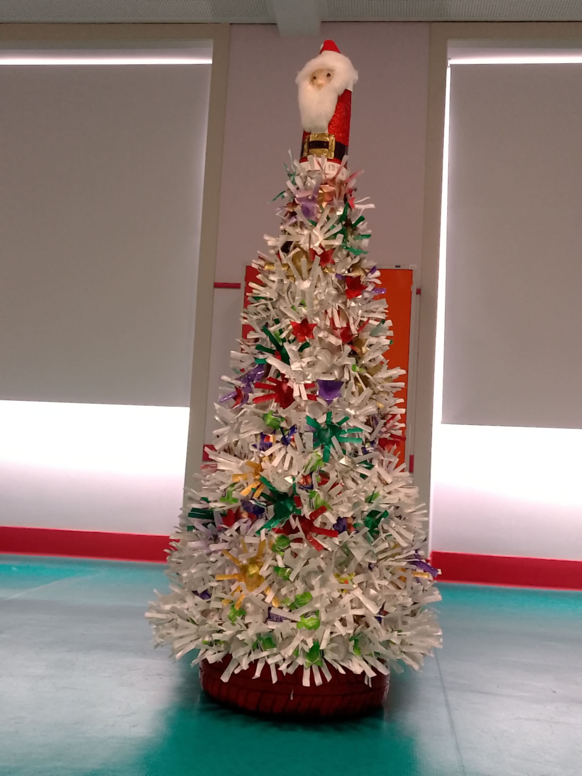 IMG 20231204 112913 1