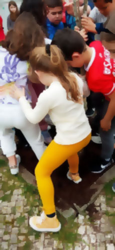 Dia Mundial Árvore 1